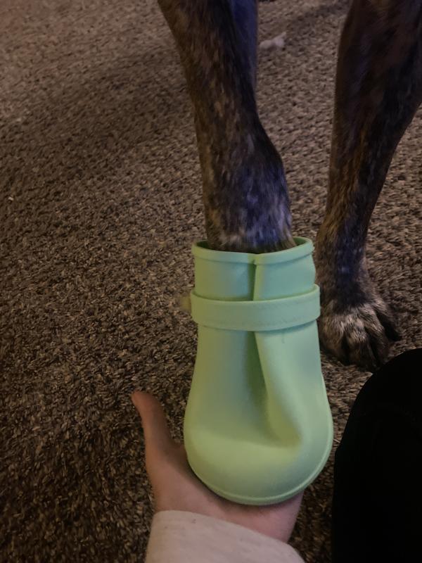 Good2go silicone hotsell dog boots