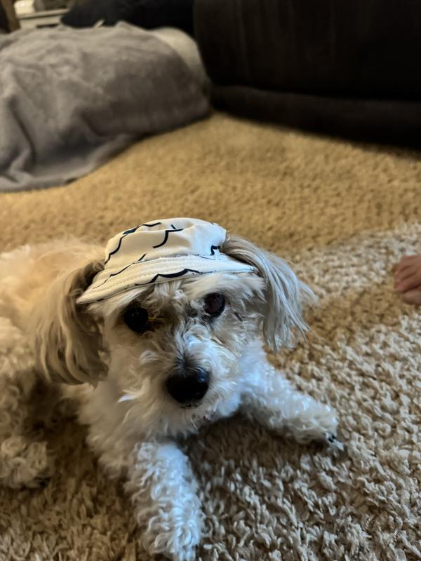Ready for the sun!
