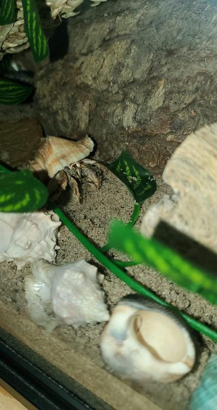 Not enough sand yet mom, keep going!