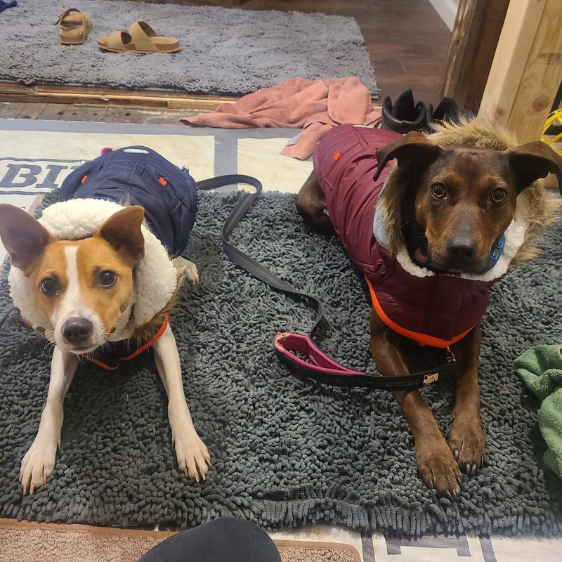 Ruffwear Stumptown Insulated Dog Jacket