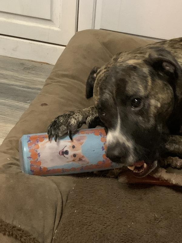 Rubber Candle Chew Toy