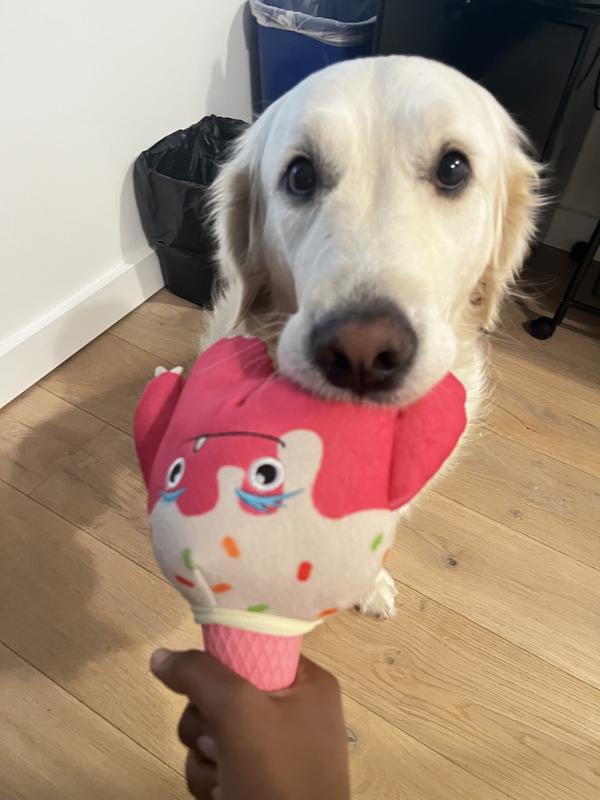 Dog Ball Ice Cream Maker Is The Perfect Dog Toy