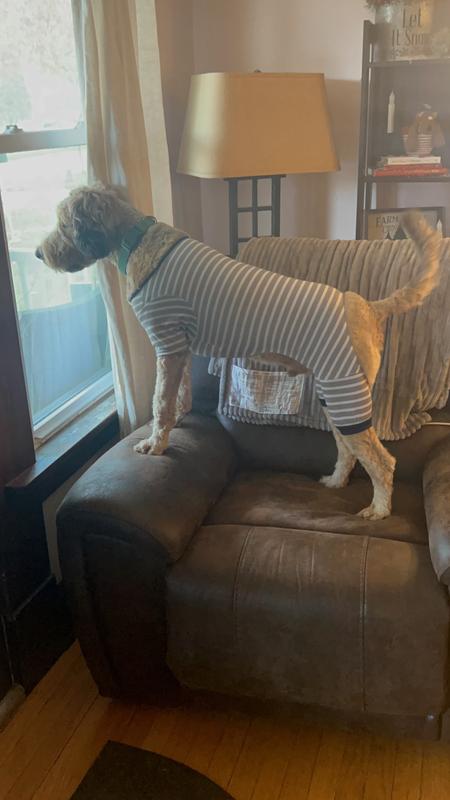 Full Body
