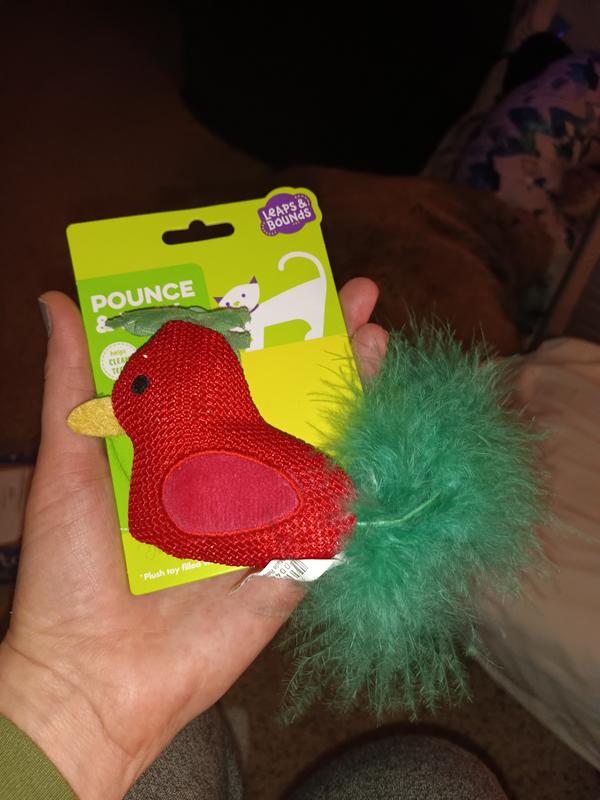 Ozzy took to this toy so quickly!!