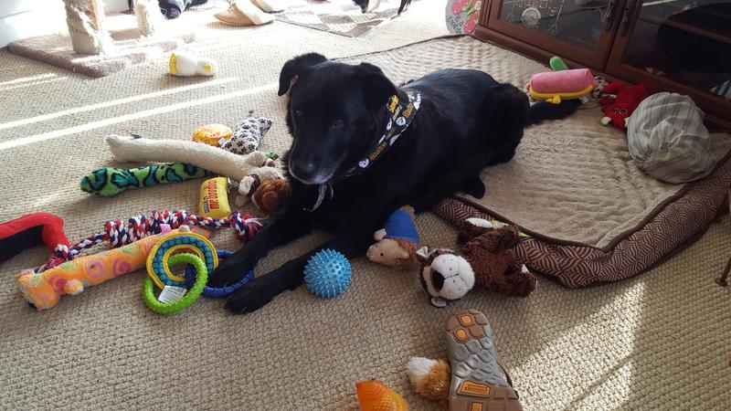 Play date with his toybox!