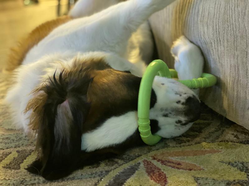 She sleeps like this!