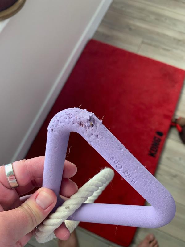 Less than 2 hours after playing with her new toy