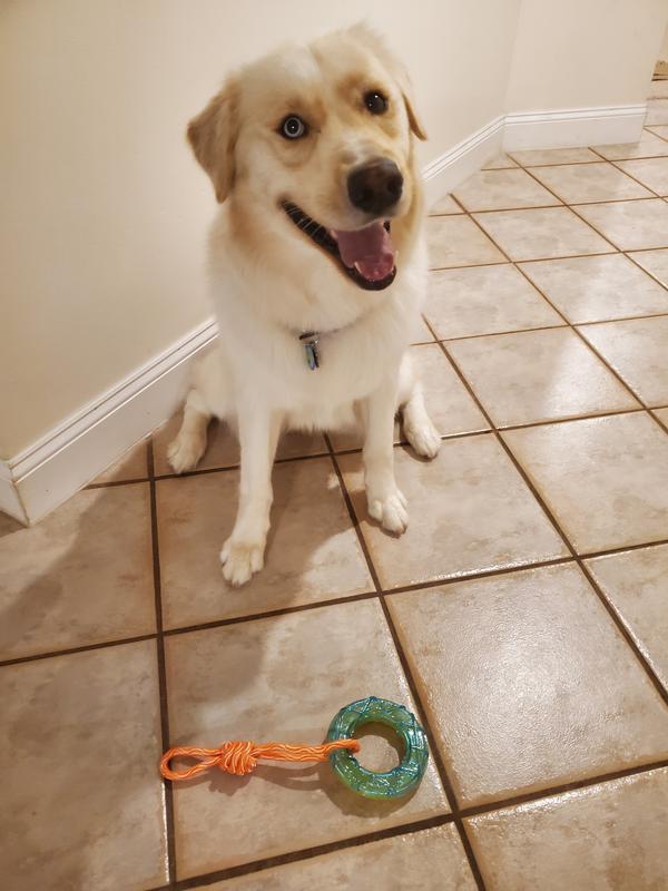 Photo - commentaire&nbsp;5.