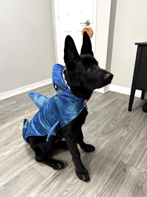 Baby shark costume outlet dog