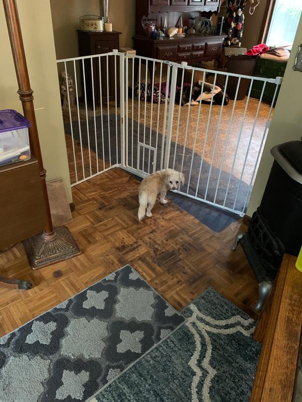 Carlson flexi clearance gate extra tall