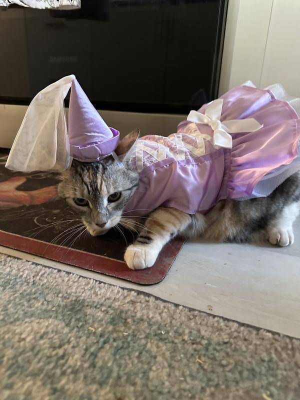 Princess cat costume hotsell