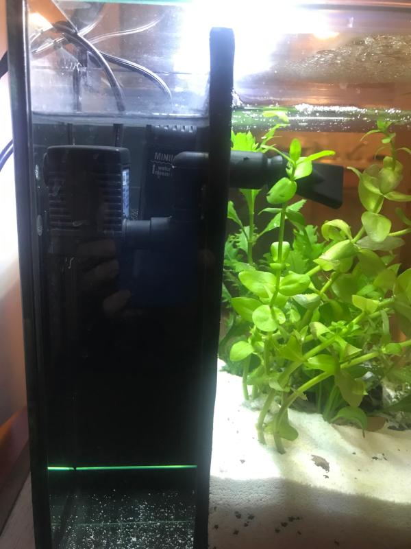 imagitarium deluxe freshwater aquarium 3.7 setup