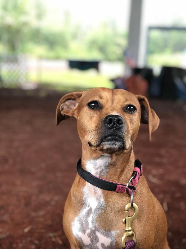 Waiting for treats!
