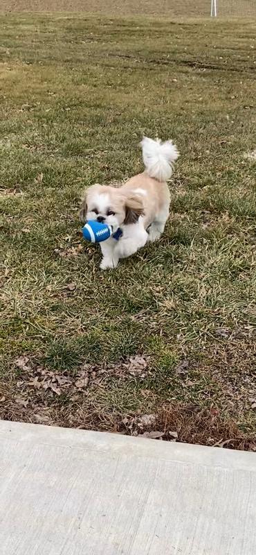 Loving the ball