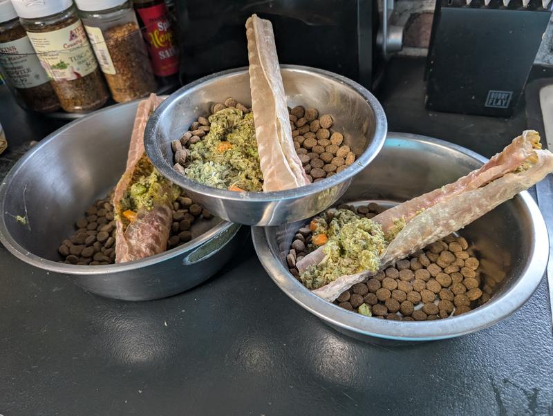 Supplement mixed into their fresh food