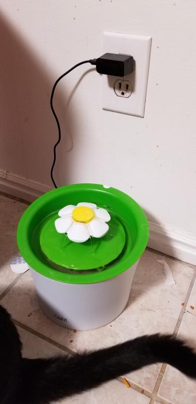 Photo - commentaire 7.