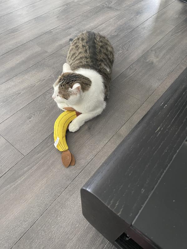 Photo - commentaire&nbsp;7.