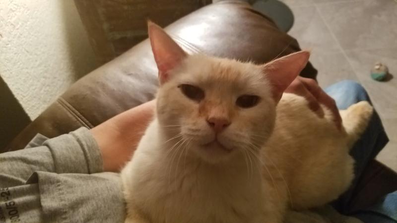 My Frosty boy