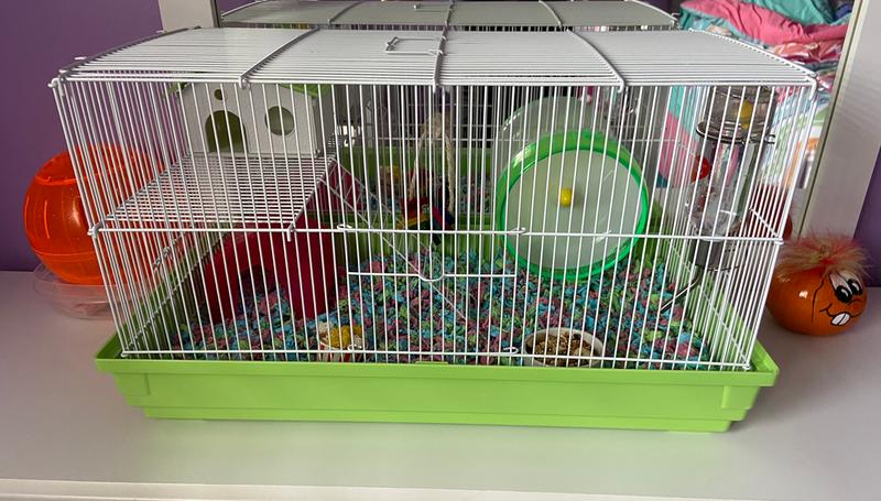 Prevue Pet Products Lime Green White Deluxe Small Animal Cage 23 L X 12.75 W X 12.75 H Petco