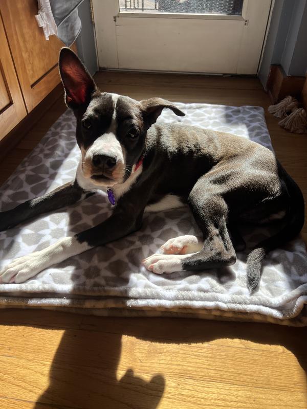 Rest after playing