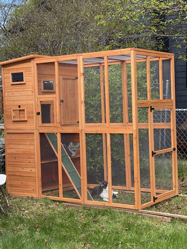 Trixie outdoor best sale cat enclosure