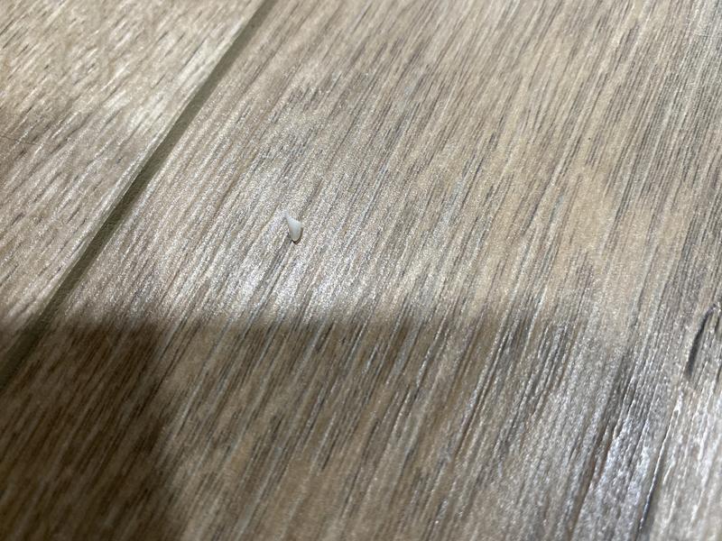 Please don’t buy this. My vet said he will potentially have to have his tooth pulled now because the nerve is exposed.
