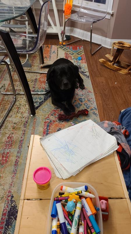 Photo - commentaire&nbsp;4.