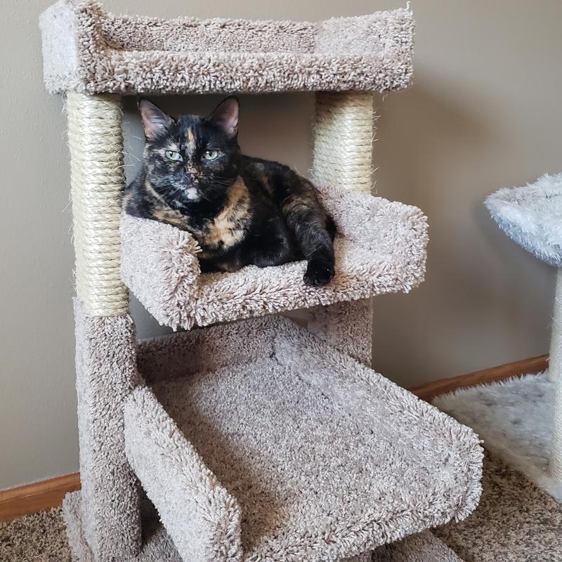 New cat condos on sale premier triple cat perch