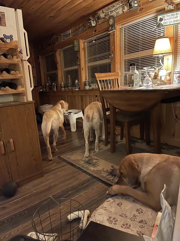 Hungry Labs first night