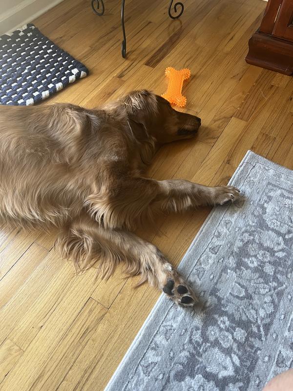 My new fav toy
