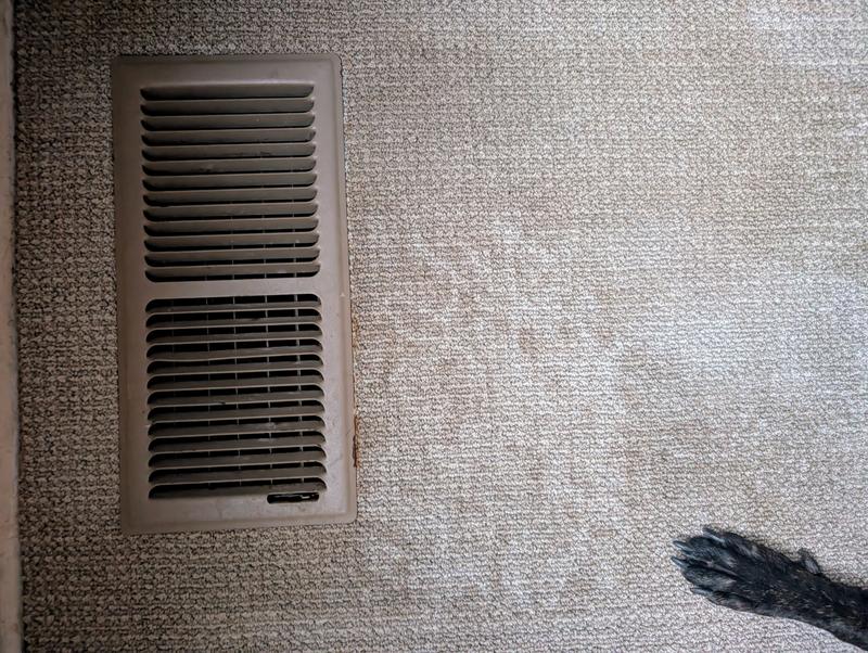 Clean swatch of carpet within the stain area