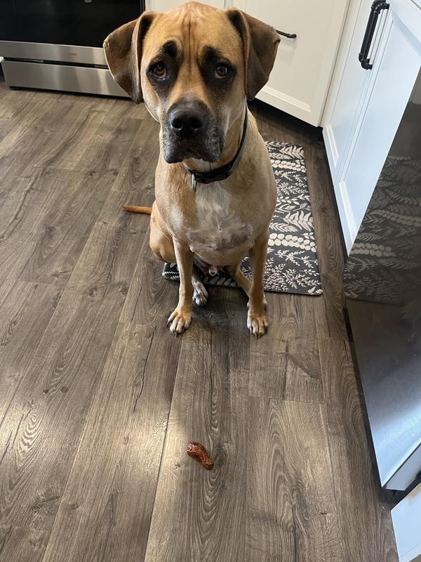 “Hurry and take the pic so I can eat this, mom!”