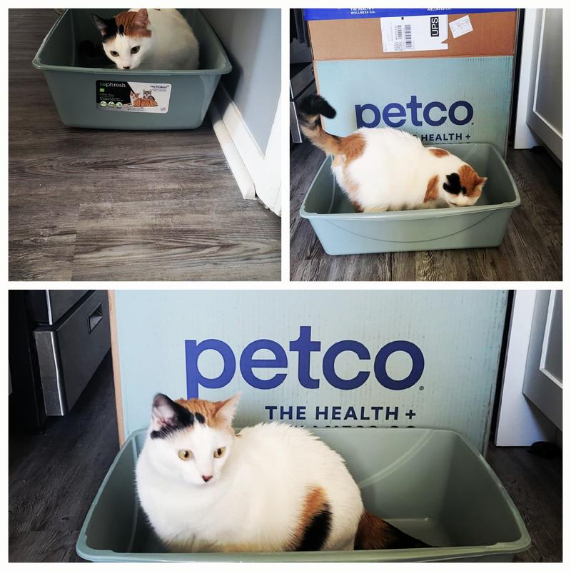 So Phresh Blue Antimicrobial Cat Litter Pan & Durable Design
