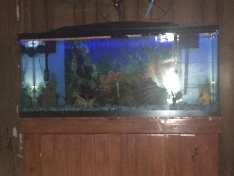 aquarium to buy near me