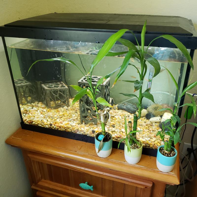 Imagitarium Media Mesh Filter Bag for Saltwater Aquariums