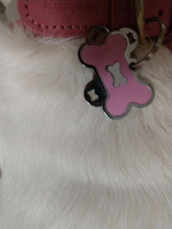 Quick-Tag Large Pink Hologram Bone Personalized Engraved Pet ID Tag