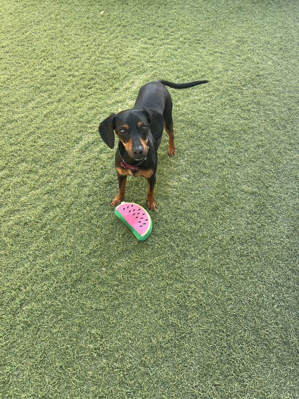 Photo - commentaire&nbsp;1.