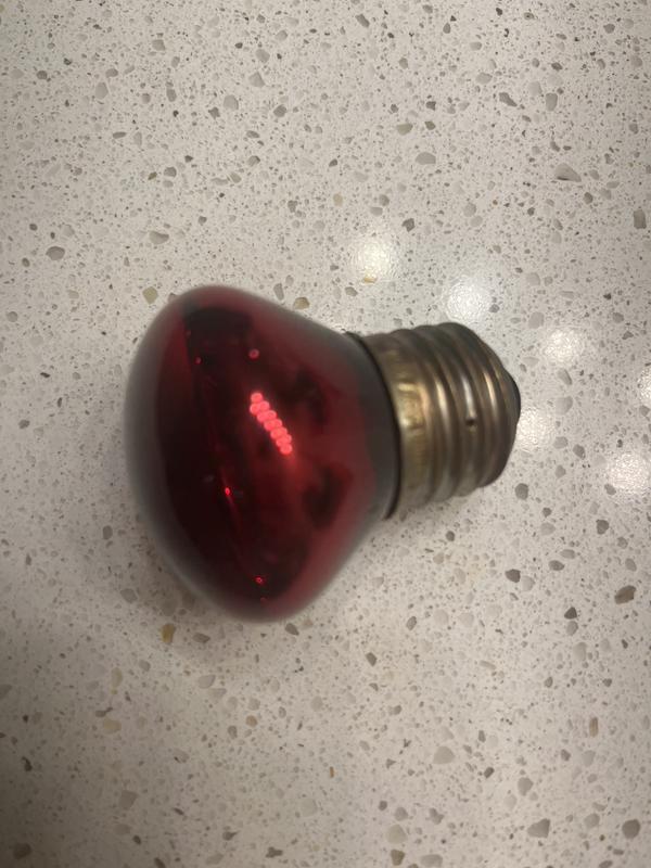 Burnt bulb