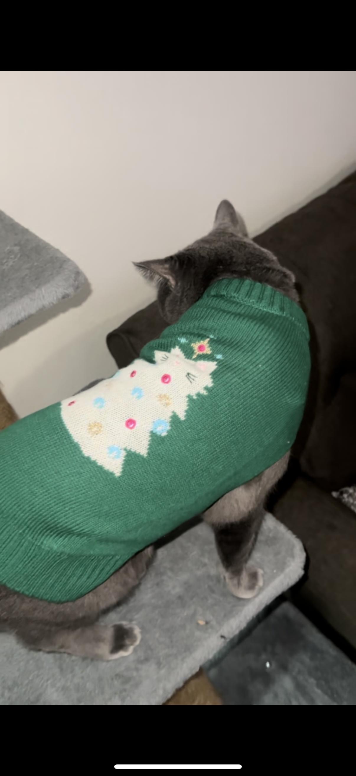 Merry Makings Tree Sweater for Cats X Small Green Petco