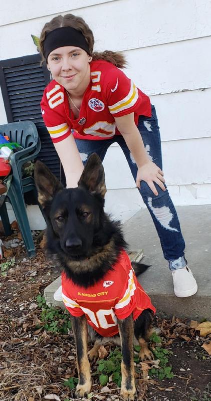 Petco Has Chiefs and Eagles Dog Jerseys on Sale Ahead of Super Bowl