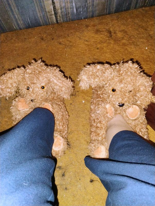 Puppy shoes