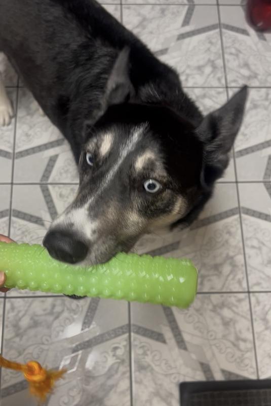 Easy to hide treats inside