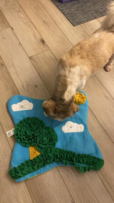 Petal Playtime Puppy Dogs/Cats Interactive Toy Snuffle Mat – Happy Paws Dog  Lounge
