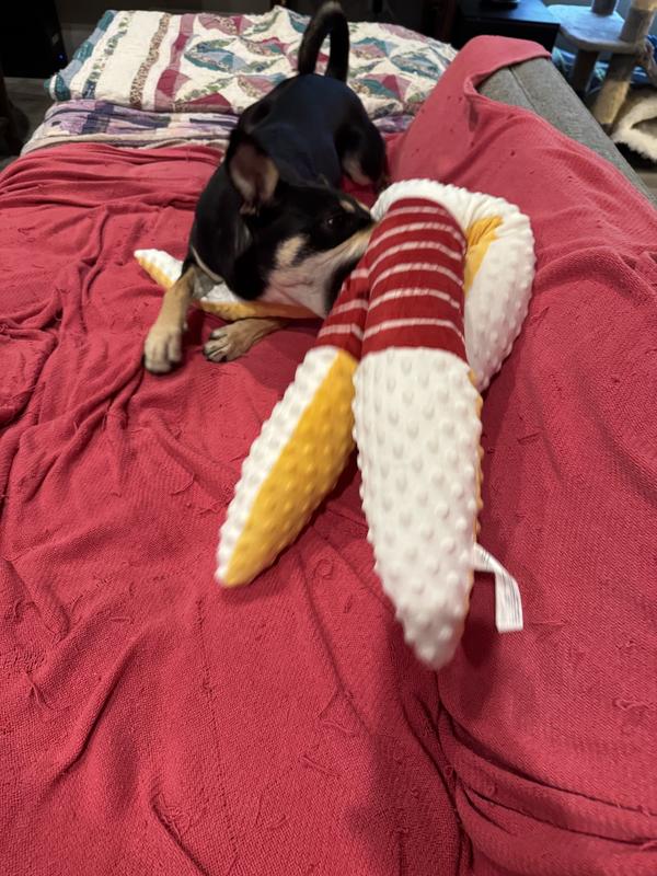 Ruby playing
