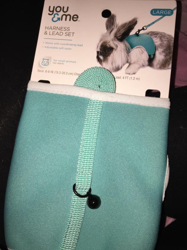 bunny harness petco