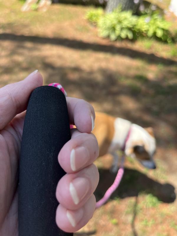 YOULY Pink Reflective & Comfort Grip Dog Leash 5 ft