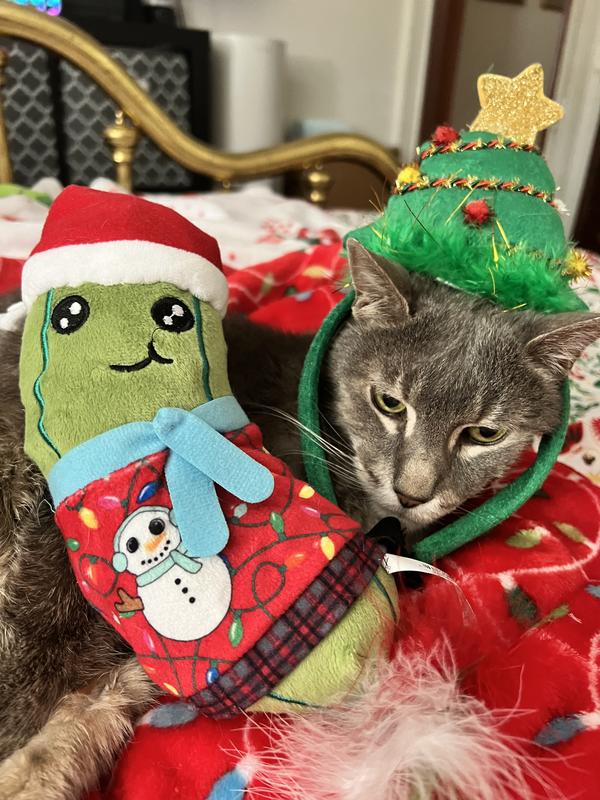 This is his happy face fyi!