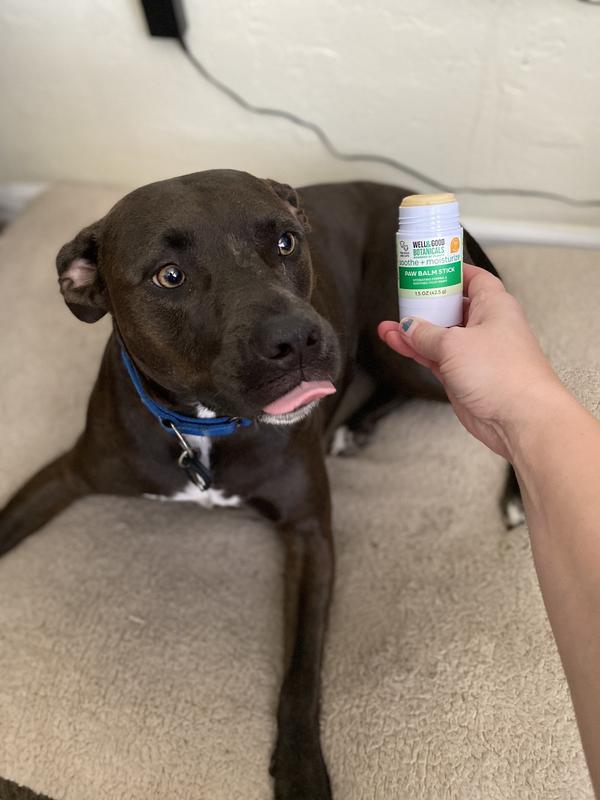 Petco dog paw outlet balm