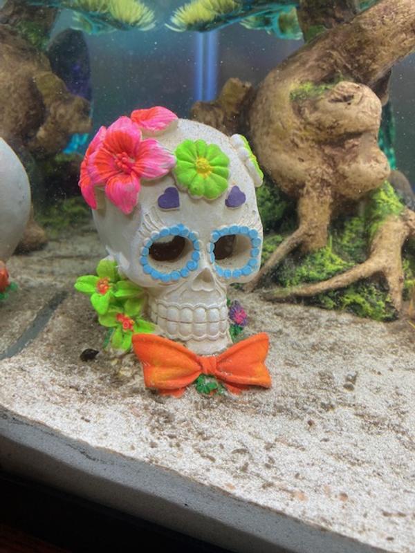 Dia De Los Muertos