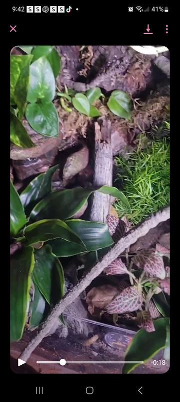 ZOO MED Repti Rapids LED Waterfall – Small Rock Design, 7.25 X 5.5 X 11 In, RR-21